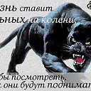 ���� ����, ����� - ��������� 8 ������� 2016 � ������ ����������