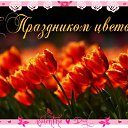 ���� ������, �����-���������, 54 ���� - ��������� 11 ��� 2016 � ������ �������� ��������