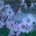 ���� Nathalie, �����-����� - ��������� 1 ������ 2016 � ������ ������ ��������