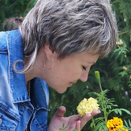 ��������, ���������