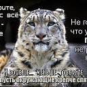 ���� Drema, �������, 44 ���� - ��������� 22 ����� 2016 � ������ ���� ����������