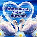  Alexandr,  -  8  2016    