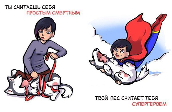 Разница между тем, как вы себя видите и как вас воспринимает собака. - 8