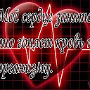 ���� � � � � �, ����, 61 ��� - ��������� 22 ��� 2016 � ������ ���� ����������