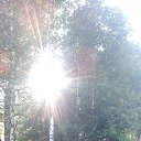 ���� ���������, ������� - ��������� 17 ������� 2016 � ������ ���� ����������