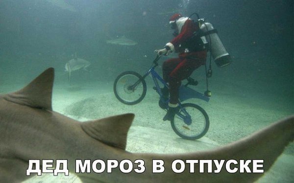    :D - 25  2016  07:41