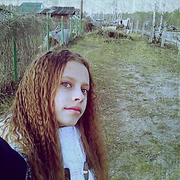 ���� ��������, ������ ��������, 24 ���� - ��������� 8 ���� 2016