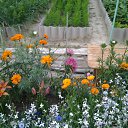 ���� �������, �������, 62 ���� - ��������� 19 ���� 2016 � ������ ���� �������