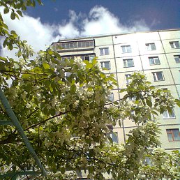 ����� 2016...