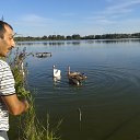 ���� ������, ������, 46 ��� - ��������� 12 ������ 2016 � ������ ������ ��������