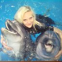 ���� ���� ������.���� ��������!!!, �������, 43 ���� - ��������� 22 ����� 2016 � ������ ���� ����������