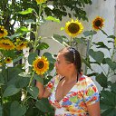 ���� ����, �����-��������� - ��������� 11 ����� 2016 � ������ ���� ����������