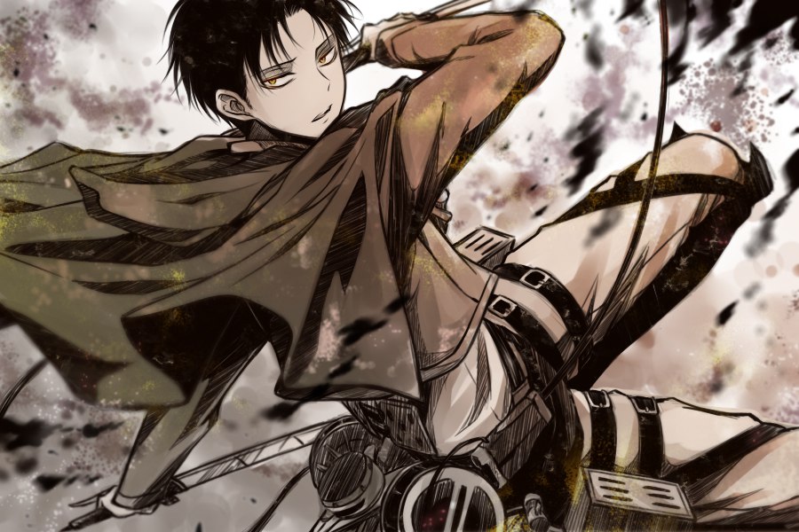   / Shingeki no ... - 25