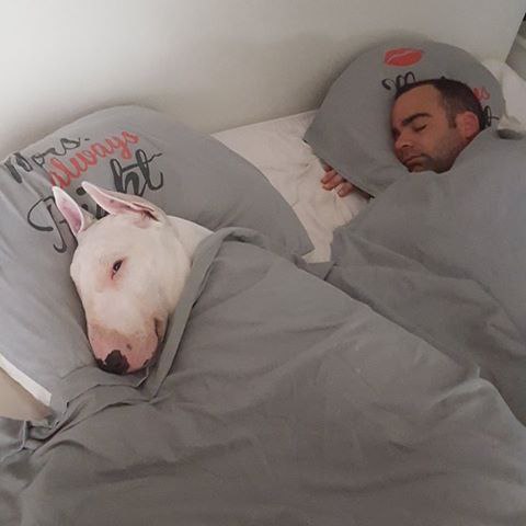 Правильный хозяин=)