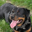 ���� ����, �������, 66 ��� - ��������� 28 ���� 2016 � ������ ������ ��������