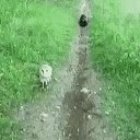 ���� ������, ���������, 56 ��� - ��������� 25 ���� 2016 � ������ ������