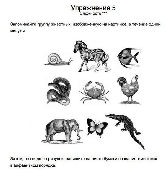 TECHNOLOGY -   - 1  2016  06:47 - 5