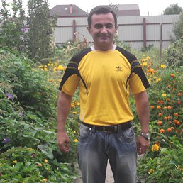  Vartan, , 50  -  22  2016