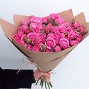 ���� ��������, �����-���������, 66 ��� - ��������� 20 ������ 2016 � ������ ���� ����������