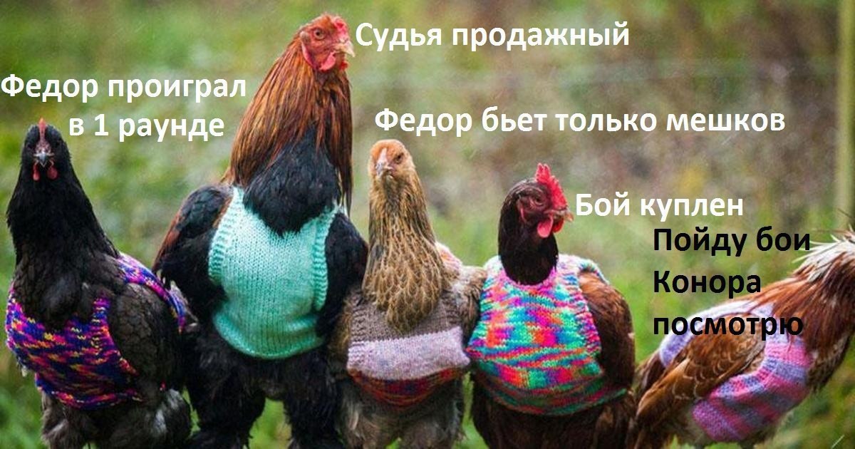 ��������)