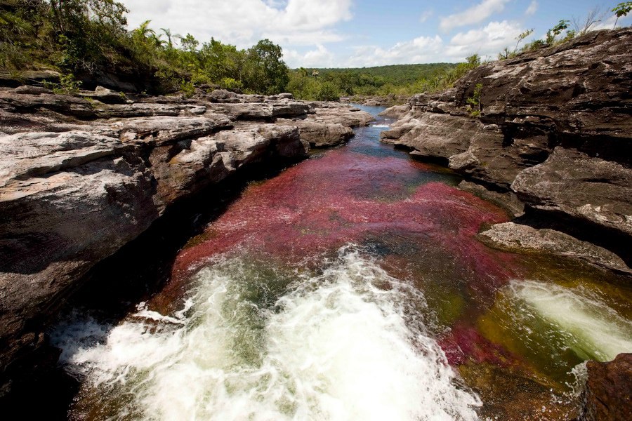 -      .- (Cao Cristales   ), ... - 5