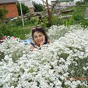 ���� M, �������, 64 ���� - ��������� 31 ������� 2016 � ������ ���� ����������