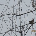 ���� ����������, ������, 58 ��� - ��������� 4 ������ 2016 � ������ �������