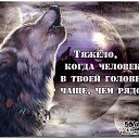 ���� ���, ����, 45 ��� - ��������� 29 ����� 2016 � ������ �����Ȼ