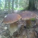 ���� �����, ������, 64 ���� - ��������� 15 ���� 2016 � ������ ���� ����������