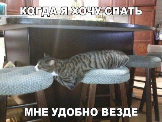 ***Victoria Viktorovna*** - 12  2016  13:09