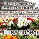 ���� ������, ��� - ��������� 15 ���� 2016 � ������ �������� ��������
