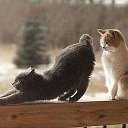 ���� ��������, �����-���������, 60 ��� - ��������� 4 ������ 2016 � ������ ������ ��������