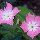 ���� 2016 �� ������� �� ��� - ��������!!!)))�