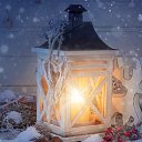 ���� �������, ��������, 54 ���� - ��������� 27 ������ 2016 � ������ ���� ����������