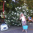 ���� ������, ����������, 45 ��� - ��������� 30 ���� 2016 � ������ ���� ����������