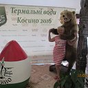 ����������, ���� 2016 �� ������� ���� ����������