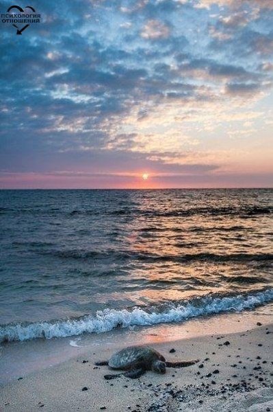 Хочу сейчас на море. Сидеть на берегу, наблюдать за закатом, и слушать шум моря.