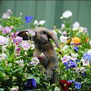 ���� �������, ������ - ��������� 2 ������� 2016 � ������ ���� ����������