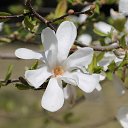  , , 60  -  5  2016     ,03.04.16.