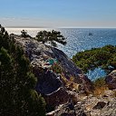 ���� Vitalii, �����������, 45 ��� - ��������� 20 ���� 2016 � ������ ���� ����������