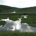 ���� ���������, �������, 53 ���� - ��������� 8 ������� 2016 � ������ �������������� "�������-������� 2016"�