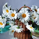 ���� �������, ���������� - ��������� 16 ��� 2016 � ������ ���� ����������