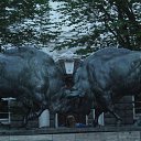 ���� �������, ������, 46 ��� - ��������� 17 ���� 2016 � ������ ���� ����������