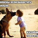 ���� �����, �����������, 55 ��� - ��������� 10 ������� 2016 � ������ ������ ��������