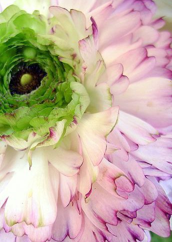 Рождение в человеческом теле – огромный дар Бога. Самая большая благодарность Богу за этот дар – ... - 4