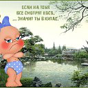 ���� �������, ������ - ��������� 14 ��� 2016 � ������ ���� ����������