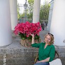 ���� ����, �����-��������� - ��������� 16 ��� 2016 � ������ ���� ����������