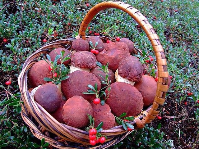   .  .       . ,  ... - 9