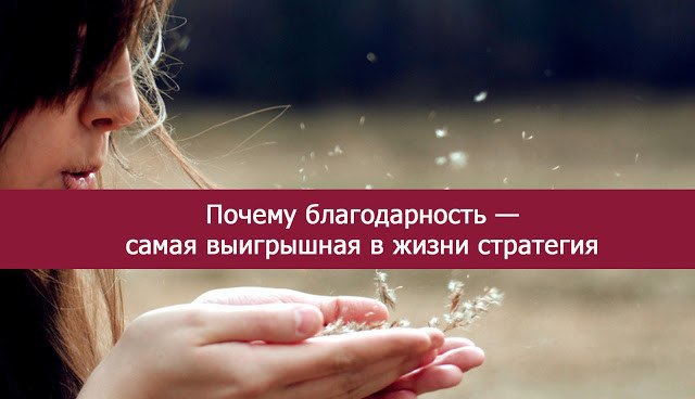 Почему благодарность — самая выигрышная в жизни стратегия: ...