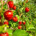 ���� ���� 92, ���� - ��������� 29 ������ 2016 � ������ ������ ��������